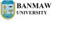 Banmaw University